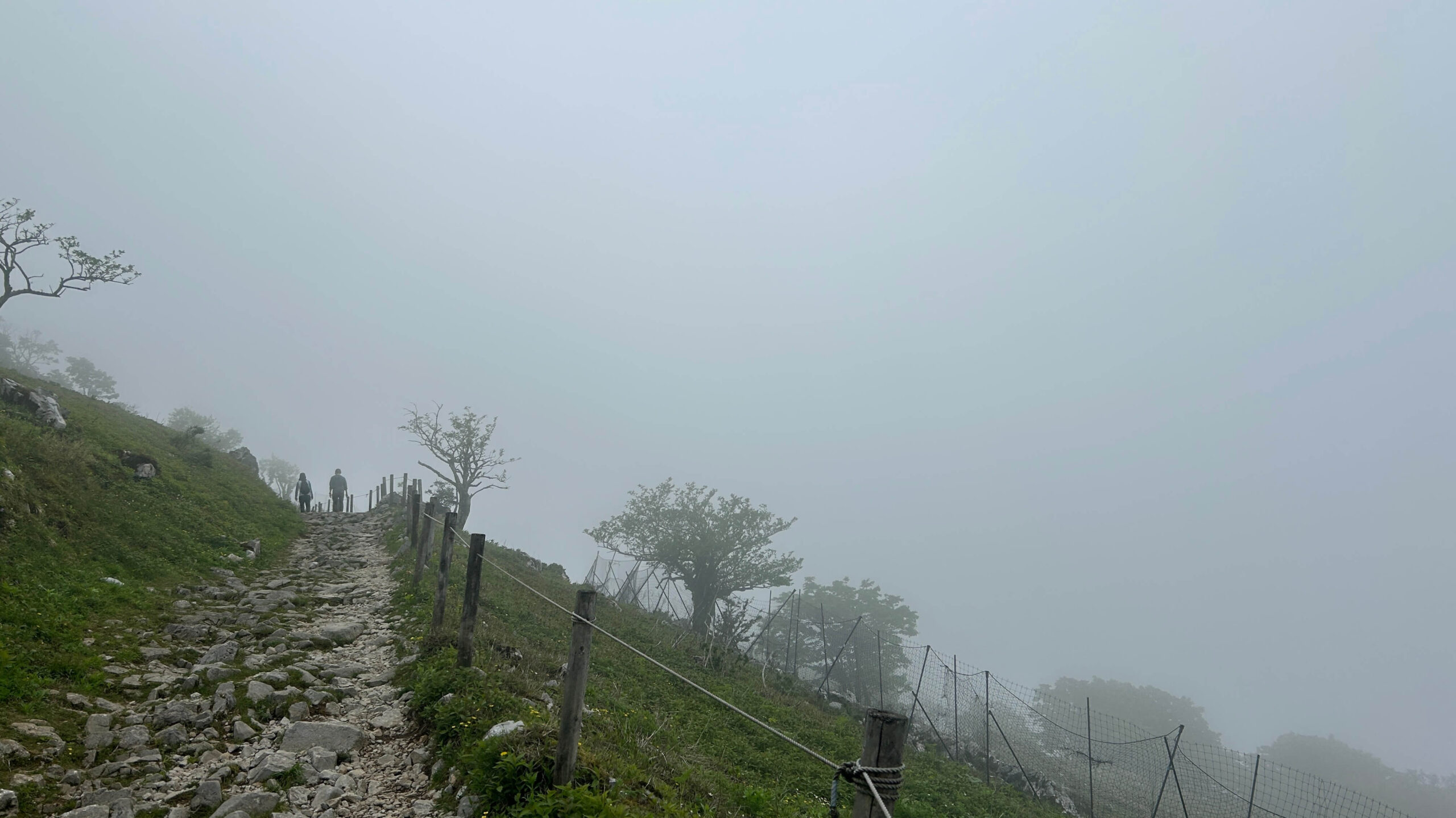 伊吹山の霧