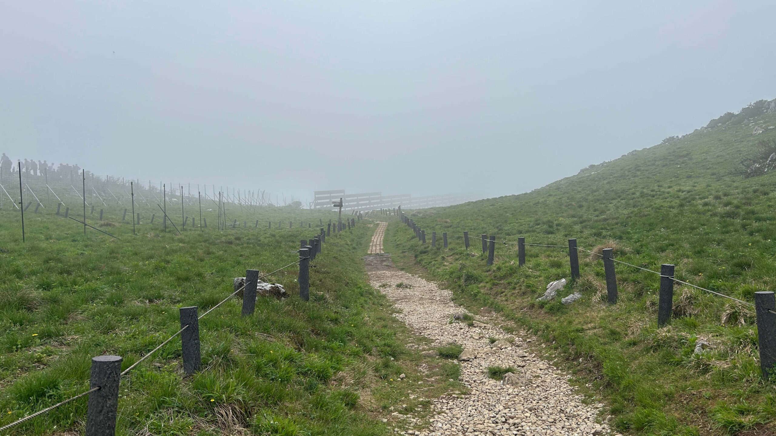 モヤがかった登山道