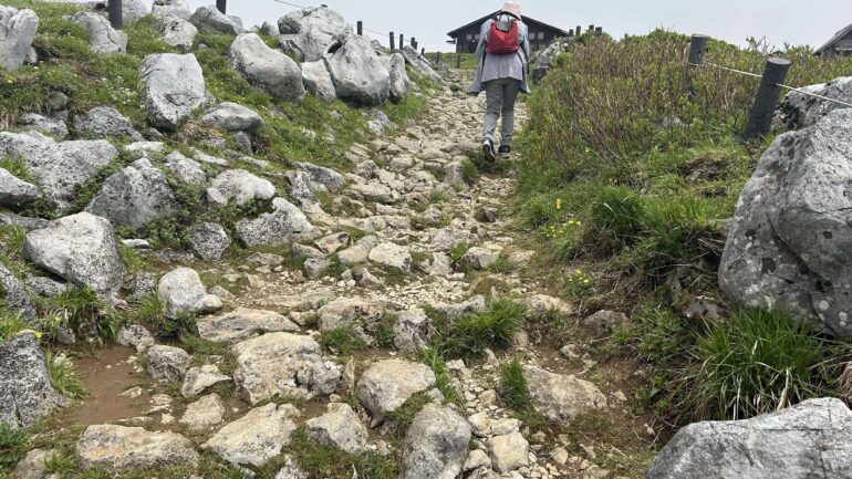 伊吹山登山