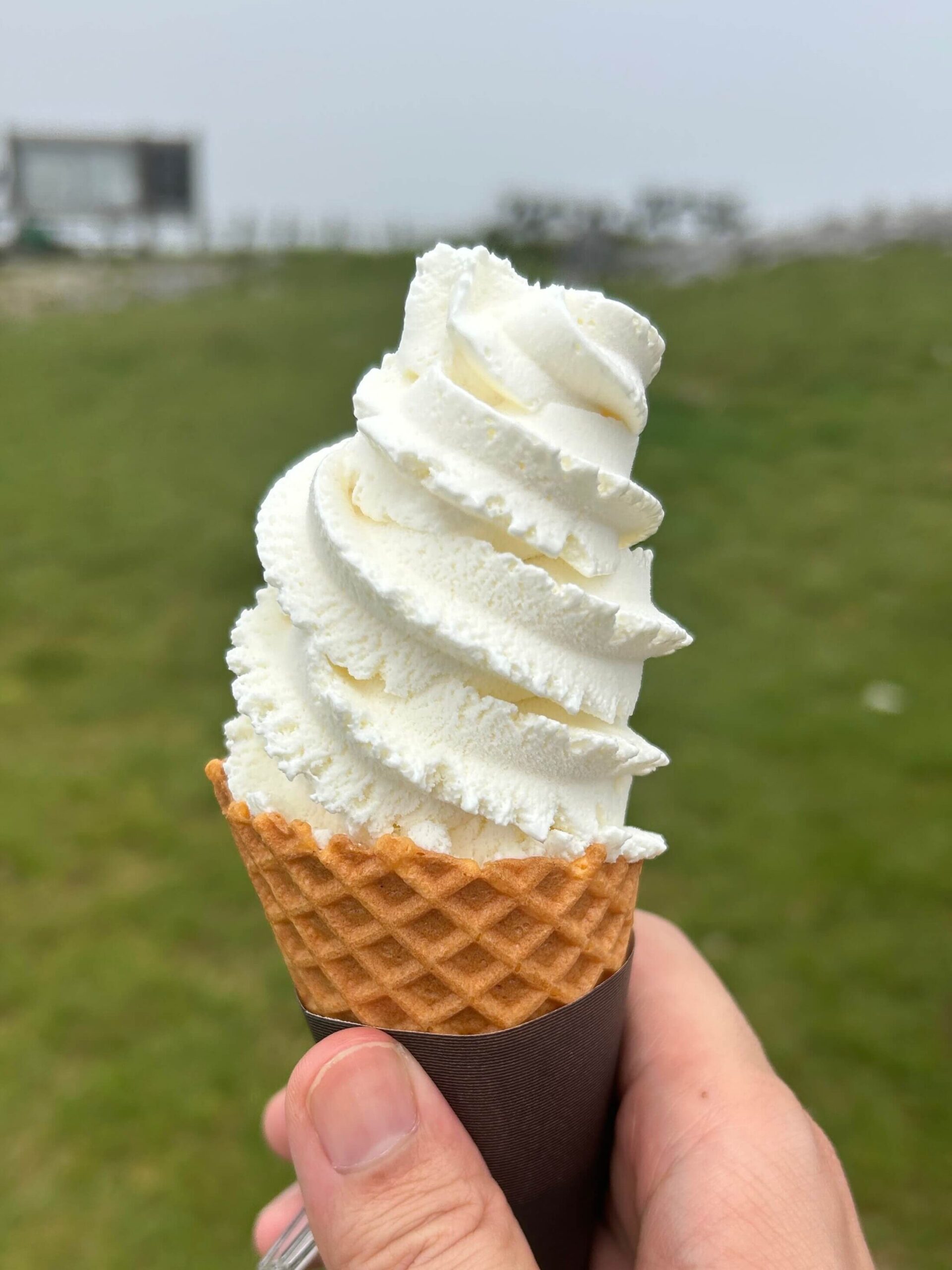 伊吹山のソフトクリーム