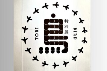 鳥展